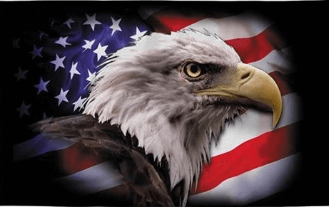 American Strong Eagle Flag – American Flags 4 Less